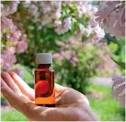 芳香疗法的独特魅力在哪儿