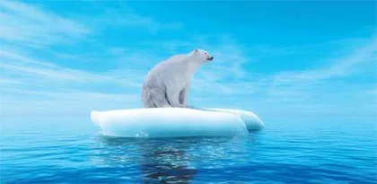 气候变暖，传染病会增加吗