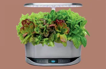 健康潮品3