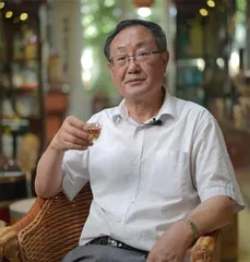 透过一盏茶 观百味人生1