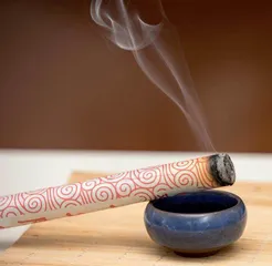 春夏之交 防病养生这样做1
