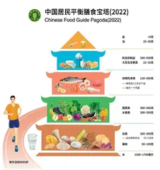 新版膳食宝塔帮你把好“营养关”
