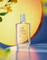 和女明星一样 自我修养2