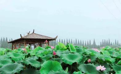 嵊州崇仁古镇5