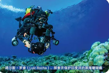 2021年劳力士雄才伟略大奖得主公布　旨在创造可以持续的未来