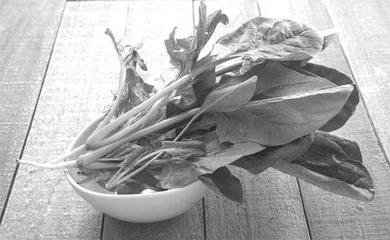 吃菠菜补铁不靠谱
