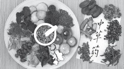 护肤试试中草药