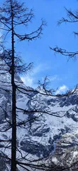 雪韵毕棚沟1