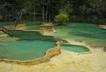 世间景，皆松潘！