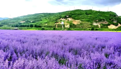 世间景,皆松潘!5