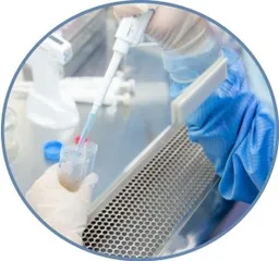 医学生道德决策能力的培养与实践要领研究