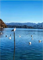 泸沽湖:让人忘记了时间1