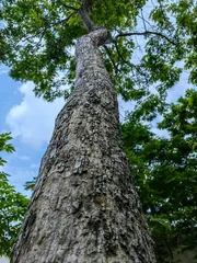 春风又绿南浪村1