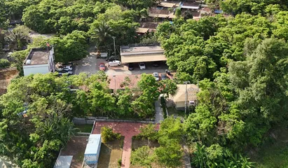 春风又绿南浪村2
