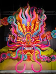 陈粉丸:有趣且提供新的经验,便是完美的1