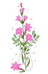 菖蒲的世界