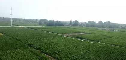 黄土高原的西北是银川