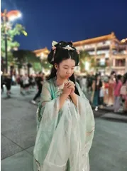 暮光中的大雁塔和“大唐不夜城”1