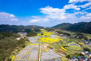 草木春深1
