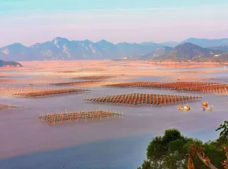 霞浦东壁村:行摄“海上牧场”2
