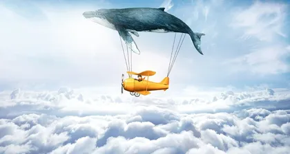 《夜晚的潜水艇》:想象的秩序和敞开的空间3