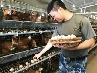 钟治军：奔跑在乡村振兴道路上的“追梦人”1