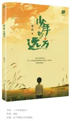 《少年的远方》：——远方与故乡的召唤