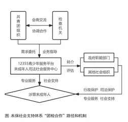 “团检合作”构建涉罪未成年人社会支持体系研究与实践:2013-20232