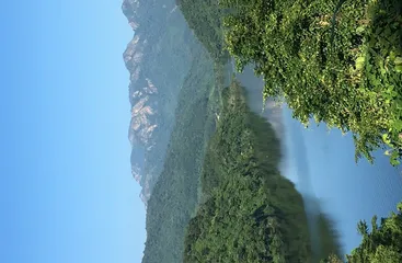 离不开的小家电，年轻人一边吐槽一边买买买1