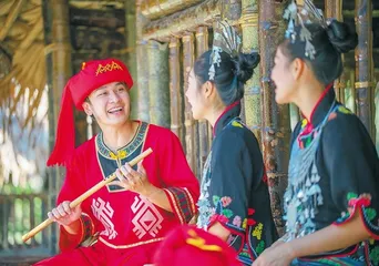 吉阳黎族的传统婚娶风俗2