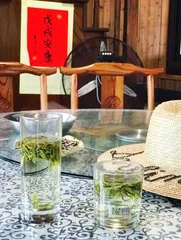 杭州夏季漫游2