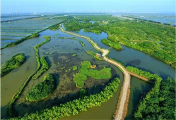 广州南沙：一键直达大海，获取一线城市中难得的松弛感