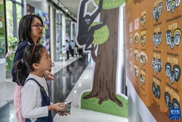 海南省积极推进海南长臂猿保护工作,吸引国际目光3