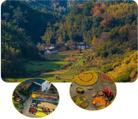婺源篁岭,一个最乡愁的地方2