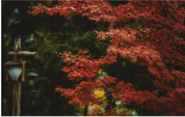 婺源篁岭,一个最乡愁的地方3