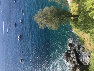 偶遇的风景1