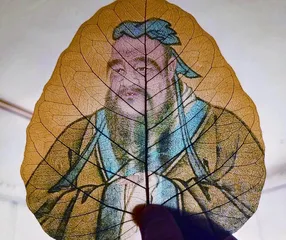丁力:用一片树叶讲述中国故事1