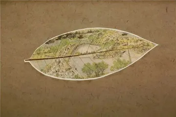 丁力:用一片树叶讲述中国故事2