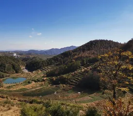 乌石村4