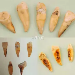 去落笔峰寻找那支仙笔2