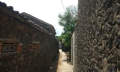 琼西北的原野2