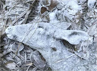 12张热图定格摄影界的时代印记2