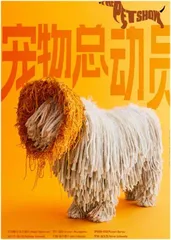 重塑的时代8