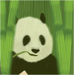 大熊猫的小秘密1