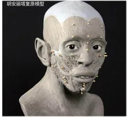 为“印加冰美人”重构面容1