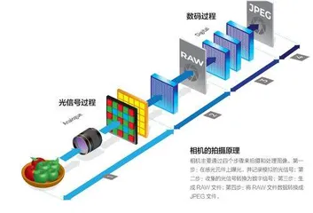 拍摄RAW格式！