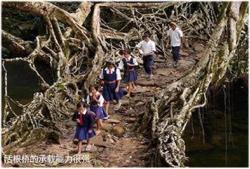 段仲礼：影像实践的文化价值
