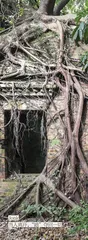 废墟——后人类文明的证据2