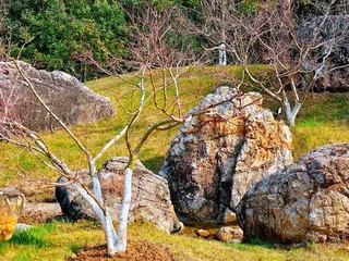 美学与性能双重巅峰7