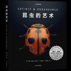 300倍微距细节中的昆虫艺术1